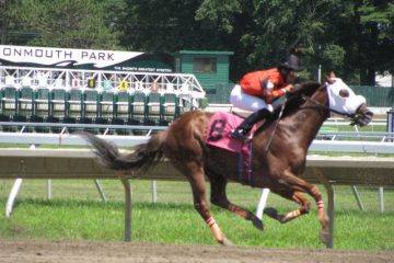 Racing Betting Strategies