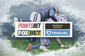 Understanding underdog and favorite odds